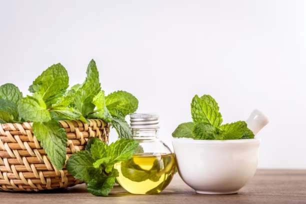aromatherapy oils  