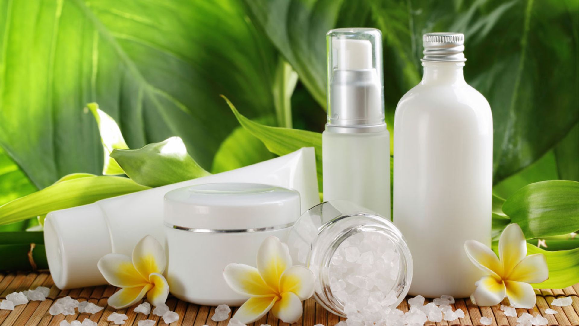 Things We Should Know About Vegan Body Care Products