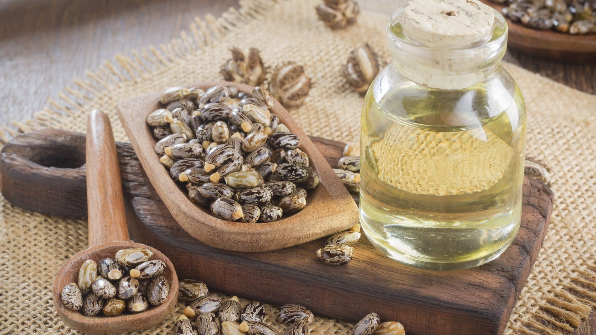 What Are the Myths and Facts About Castor Oil