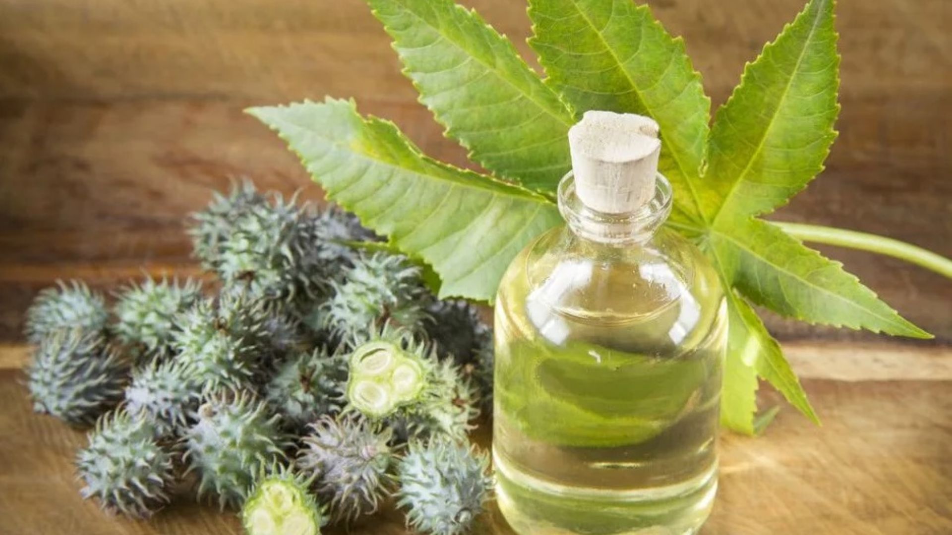 How Can Castor Oil Help with Scalp Health and Hair Repair Simultaneously