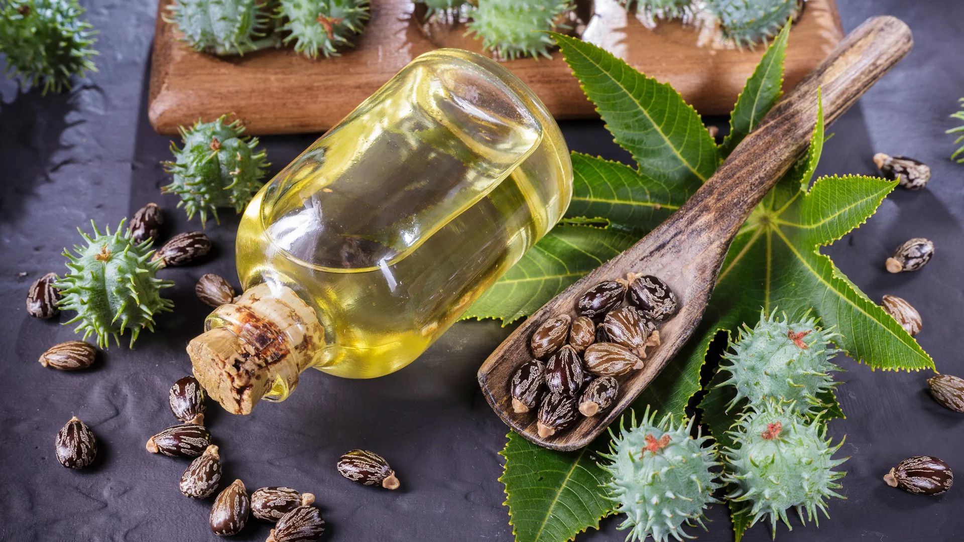 What Are the Proven Benefits of Castor Oil for Hair Growth