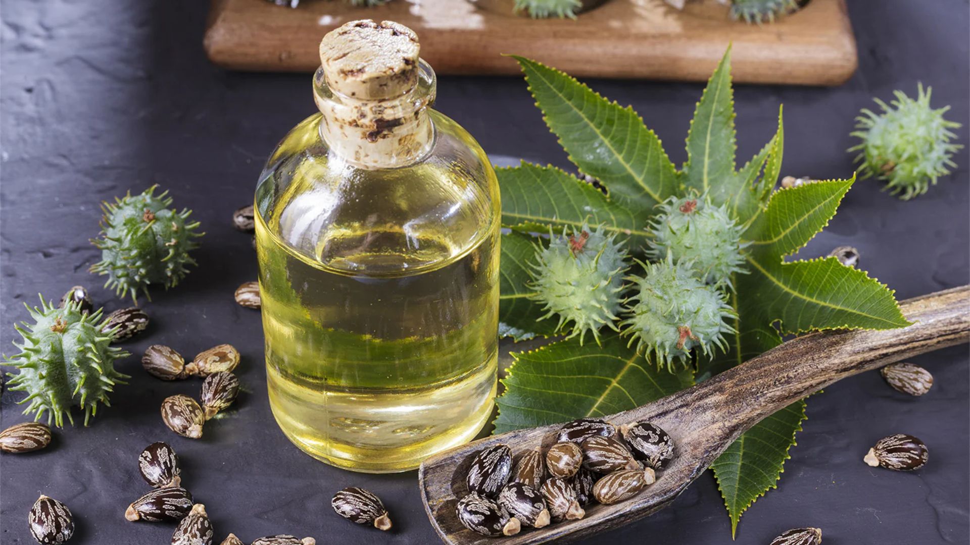 What Are the Proven Benefits of Castor Oil for Hair Growth